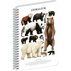 Špirálový blok Animalium – Medveďovité šelmy, čist