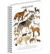 Špirálový blok Animalium – Psovité šelmy, linajkov