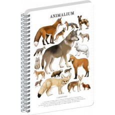 Špirálový blok Animalium – Psovité šelmy, linajkov