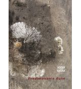 Prezimovanie duše