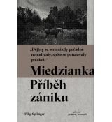 Miedzianka: Příběh zániku