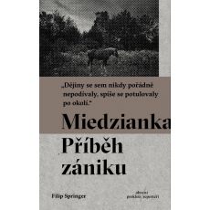 Miedzianka: Příběh zániku