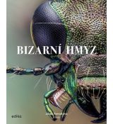 Bizarní hmyz