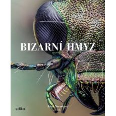 Bizarní hmyz
